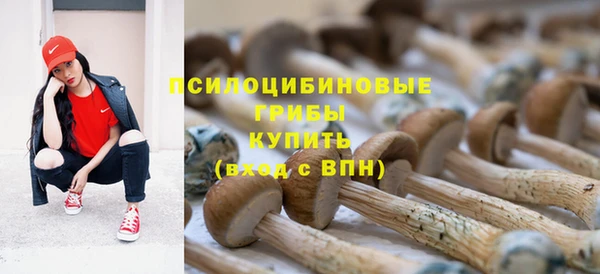 гашиш Володарск