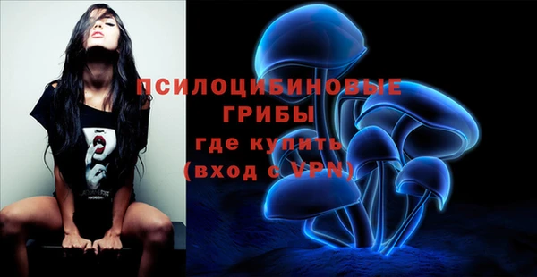 крисы Волоколамск