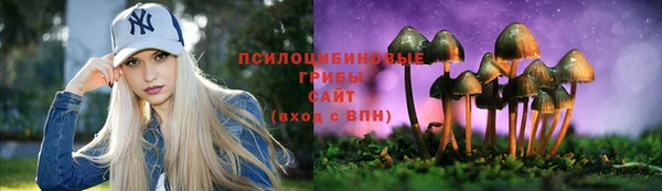 эйфоретик Вязьма