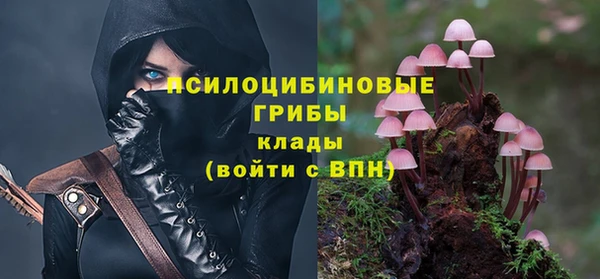 эйфоретик Вязьма