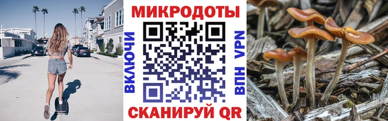 Галлюциногенные грибы мухоморы  Купить закладки  Карпинск 
